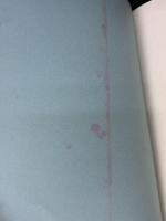 【※イタミ有り】静寂 蝸牛社 シュリ サティア サイババ