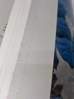 図説日本の古典〈19〉曲亭馬琴 (1980年)