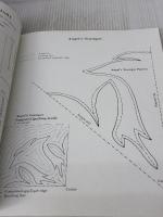 Hawaiian Quilting: Instructions and Full-Size Patterns for 20 Blocks (Dover Crafts: Quilting)