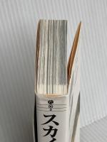 スカイハイ カルマ (集英社文庫(コミック版)) 集英社 高橋 ツトム