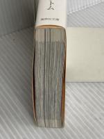 スカイハイ カルマ (集英社文庫(コミック版)) 集英社 高橋 ツトム