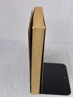 The Joy Luck Club Vintage AmyTan