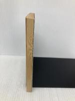 ジャイアントロボ: 地球が静止する日 (角川スニーカー文庫 31-4) KADOKAWA 山口 宏