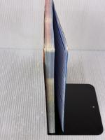 デジモンストーリー サンバースト&ムーンライト NDS版 パーフェクトテイマーズガイド バンダイナムコゲームス公式攻略本