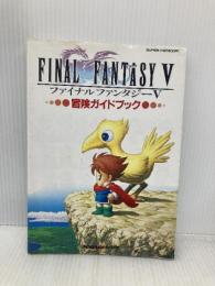ファイナルファンタジー5冒険ガイドブック エヌティティ出版