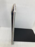 ファイナルファンタジー5冒険ガイドブック エヌティティ出版