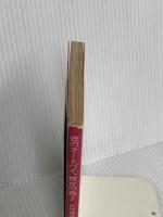 彼のオートバイ・彼女の島2 (角川文庫 緑 371-50) KADOKAWA 片岡 義男