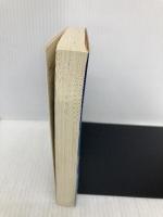 大破局: デリバティブという怪物にカモられる日本 (徳間文庫 ハ 6-1) 徳間書店 フランク パートノイ