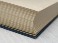 ※カバー無し 機械の現象学 (1975年) (哲学叢書)