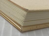 健康生活の原理 活元運動のすすめ 全生社 野口晴哉