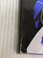 【※イタミ有り】ガンダム・センチネル 大日本絵画