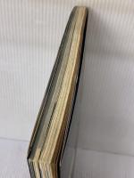 【※イタミ有り】ガンダム・センチネル 大日本絵画