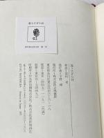 通りすぎた奴 (1977年) 立風書房 眉村 卓