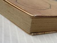 けものたちは故郷をめざす (新潮文庫) 新潮社 安部公房