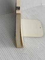 時はいつ美となるか (中公新書 727) 中央公論新社 大橋 良介