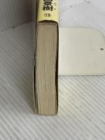 大逆説関ヶ原合戦 大坂の役編 (カッパ・ノベルス) 光文社 志茂田 景樹