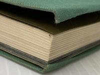 ※カバー無し 日本の旅人 11 頼山陽 淡交社 野口武彦