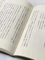 ※カバー無し 日本の旅人 11 頼山陽 淡交社 野口武彦