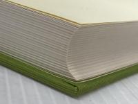 本邦初訳　プーシキン詩集 青磁社 草鹿外吉他訳