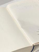 インペリアル航空第109便 (1981年)  リチャード・ドイル