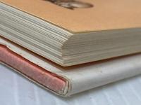 ※イタミ有 手芸の絵本: 袖川けい子作品と作り方 (VIVA MICKEY BOOKS 5) 講談社 袖川 けい子