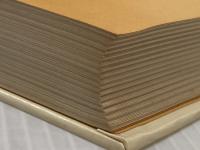 ※イタミ有 太陽の子―盲目の詩集とその指導記録 (1972年) 鳩の森書房