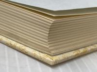 兄弟抄―他6編 少年版日蓮大聖人御書 (1978年) (聖教少年文庫)