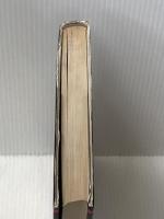 ドイツ世界に冠たるドイツ―「黄金」の20年代・ワイマール文化の鏡像 (1982年)  平井 正