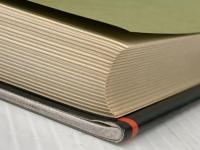 ドイツ世界に冠たるドイツ―「黄金」の20年代・ワイマール文化の鏡像 (1982年)  平井 正