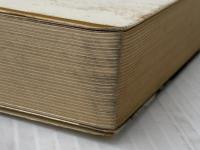 ※イタミ有 日大紛争の真相―民主化への歩み (1969年) 八千代出版