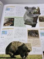 【イタミ有り】世界動物大図鑑―ANIMAL DKブックシリーズ ネコ・パブリッシング デイヴィッド・バーニー