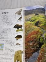 【イタミ有り】世界動物大図鑑―ANIMAL DKブックシリーズ ネコ・パブリッシング デイヴィッド・バーニー