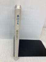 水のクモ 書肆山田 藤本 真理子