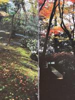 花会記―四季の心とかたち 淡交社 川瀬 敏郎