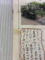 金岡新聞 飛鳥新社 金岡 陸