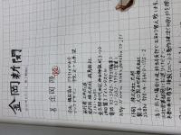 金岡新聞 飛鳥新社 金岡 陸