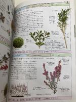 ハーブの写真図鑑 完璧版 (地球自然ハンドブック) 日本ヴォーグ社 レスリー ブレムネス