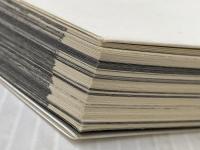 おやすみプンプン (13) (ヤングサンデーコミックス) 小学館 浅野 いにお