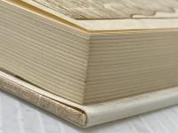 ネバーランドの発想―児童文学の周辺 (1974年) すばる書房盛光社 上野 瞭