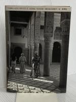 ハーレムの少女ファティマ: モロッコの古都フェズに生まれて 未来社 ファティマ メルニーシー