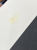 白と黒の革命 (1979年) 文藝春秋