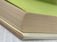 脳を良くする育児学 (1980年) 潮出版社 水野 肇