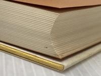 学校の幻想・幻想の学校―教育のない世界 新曜社 山本哲士