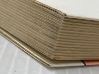 わが子の才能と健康がわかる本 ダイヤモンド社 長谷川博一