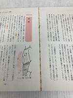 中国気功健康法: 人間の秘められたパワーを引き出す 成美堂出版 廖 赤虹