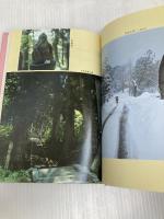 恵信尼公の生涯(復刊) 本願寺出版社 大谷 嬉子