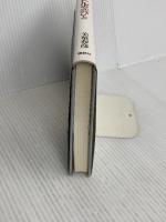 モンマルトルの恋びと: シュザンヌ・ヴァラドン物語 講談社 美童 春彦