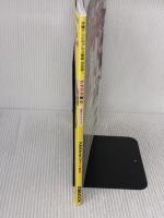 【※イタミ有り】アゲアゲめし 公式ガイドブック (ぴあ MOOK) ぴあ