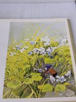 【※書き込み有り】野の花と小人たち―画集 (1976年)