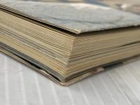 アリス・さらば青春のとき (1977年) (New music personal books)